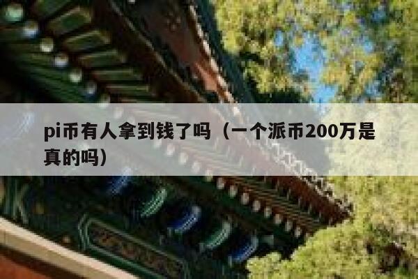 pi币有人拿到钱了吗（一个派币200万是真的吗） 第1张