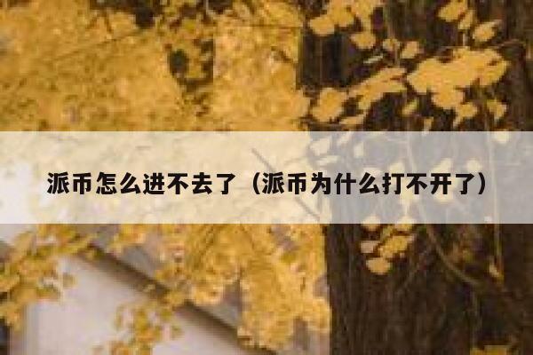 派币怎么进不去了（派币为什么打不开了） 第1张