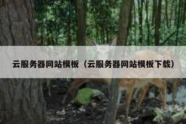 云服务器网站模板（云服务器网站模板下载） 第1张