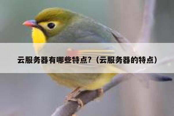 云服务器有哪些特点?（云服务器的特点） 第1张