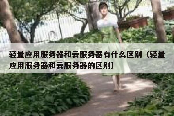 轻量应用服务器和云服务器有什么区别(轻量应用服务器和云服务器的区别) 第1张 轻量应用服务器和云服务器有什么区别(轻量应用服务器和云服务器的区别) 第1张