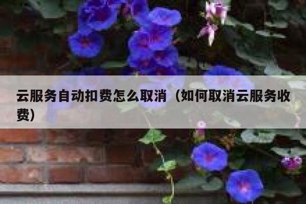 云服务自动扣费怎么取消（如何取消云服务收费） 第1张