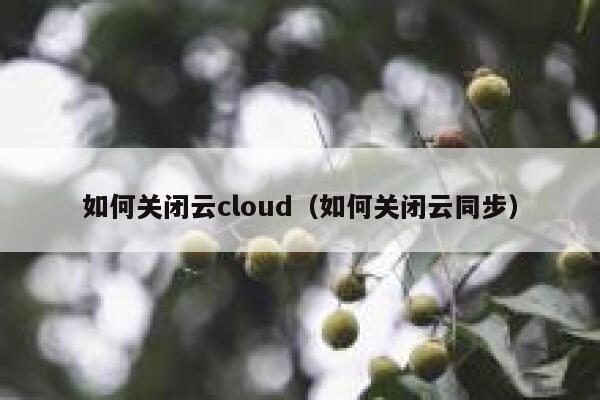 如何关闭云cloud(如何关闭云同步) 第1张 如何关闭云cloud(如何关闭云同步) 第1张