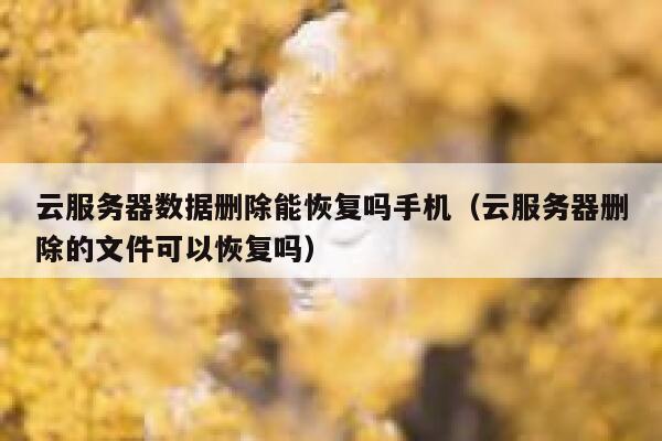 云服务器数据删除能恢复吗手机(云服务器删除的文件可以恢复吗) 第1张 云服务器数据删除能恢复吗手机(云服务器删除的文件可以恢复吗) 第1张