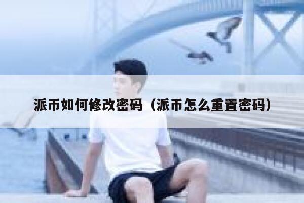 派币如何修改密码（派币怎么重置密码） 第1张