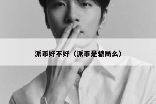 派币好不好（派币是骗局么） 第1张