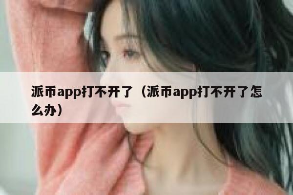 派币app打不开了（派币app打不开了怎么办） 第1张