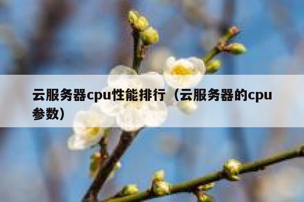 云服务器cpu性能排行(云服务器的cpu参数) 第1张 云服务器cpu性能排行(云服务器的cpu参数) 第1张