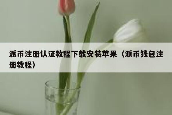 派币注册认证教程下载安装苹果（派币钱包注册教程） 第1张