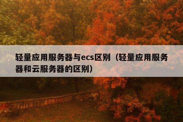 轻量应用服务器与ecs区别（轻量应用服务器和云服务器的区别） 第1张
