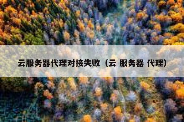 云服务器代理对接失败(云 服务器 代理) 第1张 云服务器代理对接失败(云 服务器 代理) 第1张