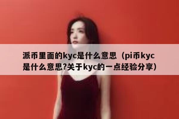 派币里面的kyc是什么意思（pi币kyc是什么意思?关于kyc的一点经验分享） 第1张