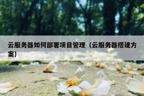 云服务器如何部署项目管理(云服务器搭建方案) 第1张 云服务器如何部署项目管理(云服务器搭建方案) 第1张