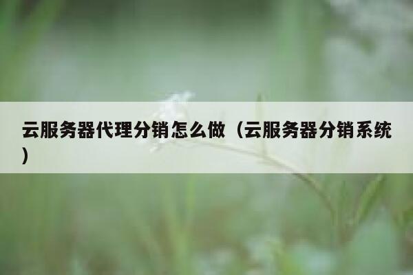 云服务器代理分销怎么做（云服务器分销系统） 第1张