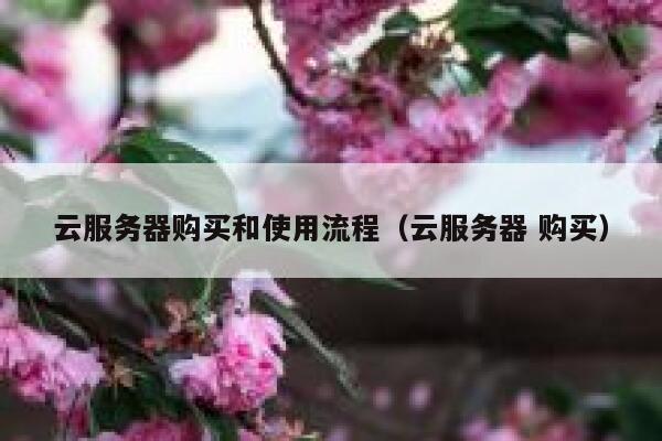 云服务器购买和使用流程（云服务器 购买） 第1张