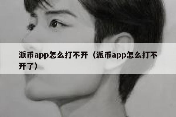 派币app怎么打不开（派币app怎么打不开了） 第1张