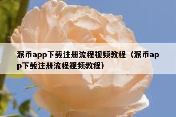 派币app下载注册流程视频教程（派币app下载注册流程视频教程） 第1张