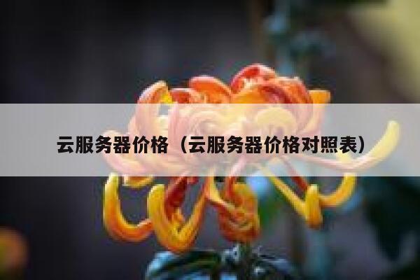 云服务器价格（云服务器价格对照表） 第1张