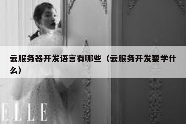云服务器开发语言有哪些(云服务开发要学什么) 第1张 云服务器开发语言有哪些(云服务开发要学什么) 第1张