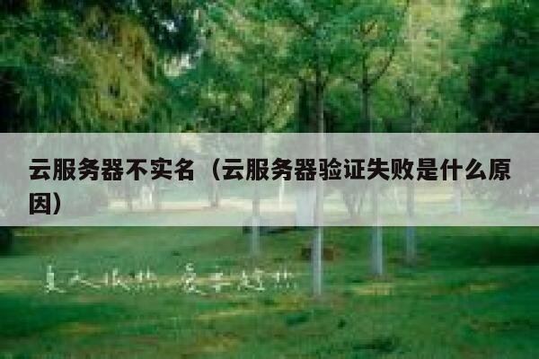 云服务器不实名(云服务器验证失败是什么原因) 第1张 云服务器不实名(云服务器验证失败是什么原因) 第1张