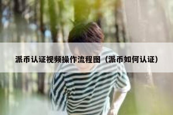 派币认证视频操作流程图（派币如何认证） 第1张