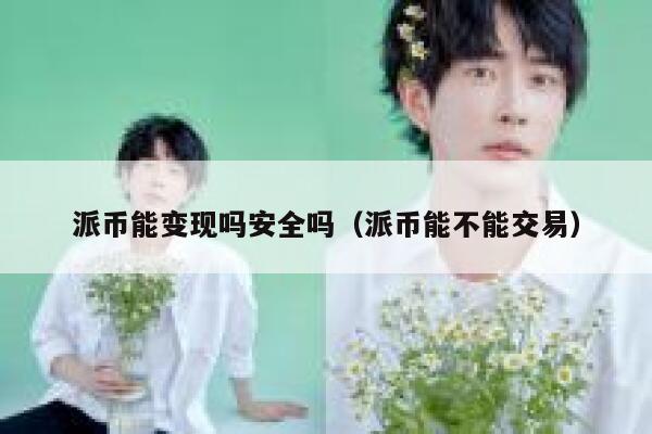 派币能变现吗安全吗(派币能不能交易) 第1张 派币能变现吗安全吗(派币能不能交易) 第1张