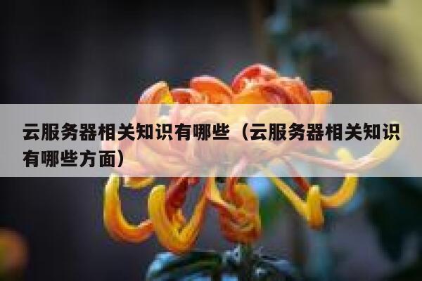 云服务器相关知识有哪些（云服务器相关知识有哪些方面） 第1张