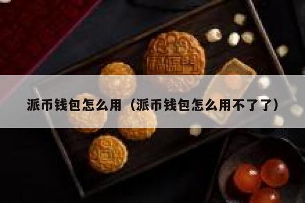 派币钱包怎么用（派币钱包怎么用不了了） 第1张
