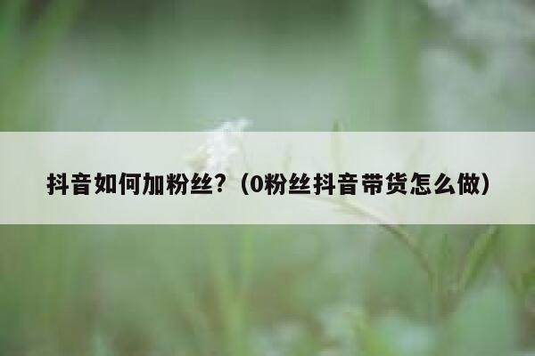 抖音如何加粉丝?(0粉丝抖音带货怎么做) 第1张 抖音如何加粉丝?(0粉丝抖音带货怎么做) 第1张