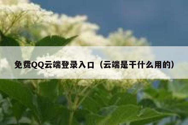 免费QQ云端登录入口(云端是干什么用的) 第1张 免费QQ云端登录入口(云端是干什么用的) 第1张