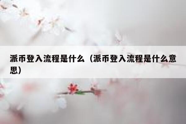 派币登入流程是什么（派币登入流程是什么意思） 第1张