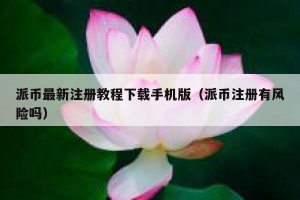 派币最新注册教程下载手机版（派币注册有风险吗） 第1张
