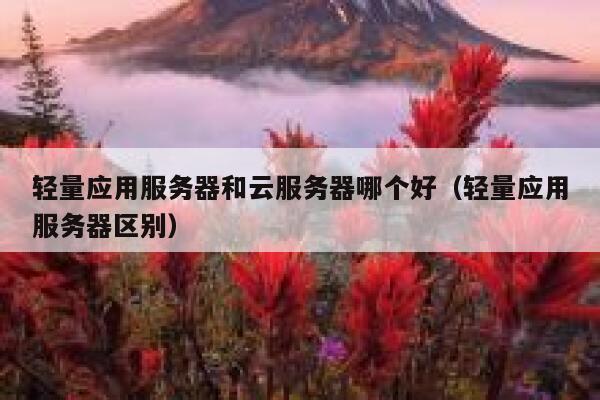 轻量应用服务器和云服务器哪个好(轻量应用服务器区别) 第1张 轻量应用服务器和云服务器哪个好(轻量应用服务器区别) 第1张