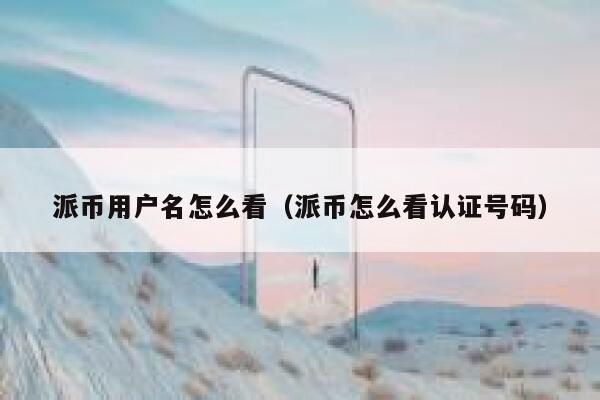 派币用户名怎么看(派币怎么看认证号码) 第1张 派币用户名怎么看(派币怎么看认证号码) 第1张