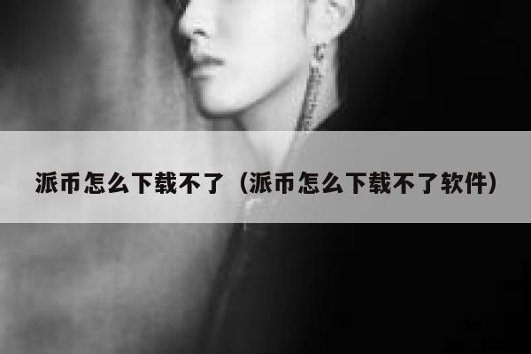 派币怎么下载不了（派币怎么下载不了软件） 第1张