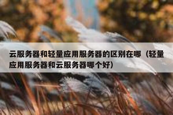云服务器和轻量应用服务器的区别在哪（轻量应用服务器和云服务器哪个好） 第1张