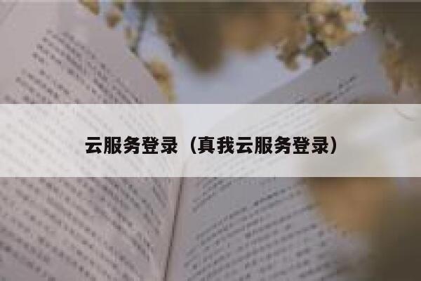 云服务登录（真我云服务登录） 第1张