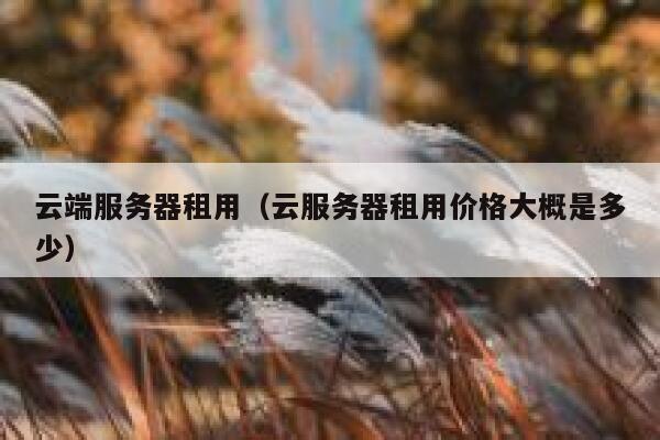 云端服务器租用（云服务器租用价格大概是多少） 第1张