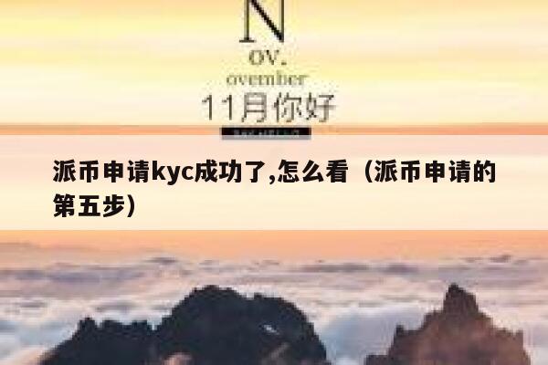 派币申请kyc成功了,怎么看（派币申请的第五步） 第1张