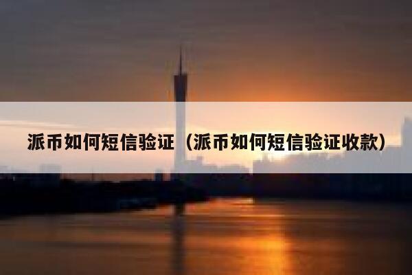 派币如何短信验证（派币如何短信验证收款） 第1张