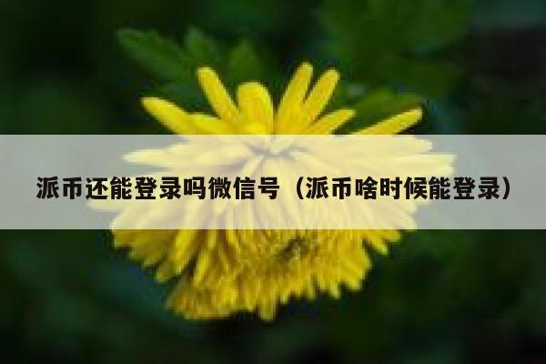 派币还能登录吗微信号(派币啥时候能登录) 第1张 派币还能登录吗微信号(派币啥时候能登录) 第1张