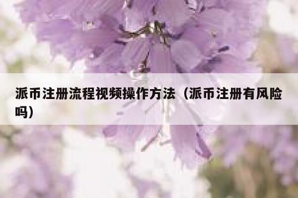 派币注册流程视频操作方法（派币注册有风险吗） 第1张