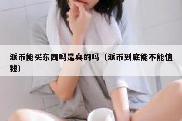 派币能买东西吗是真的吗（派币到底能不能值钱） 第1张