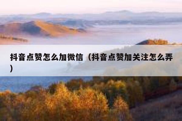 抖音点赞怎么加微信（抖音点赞加关注怎么弄） 第1张