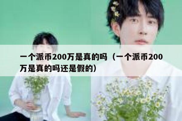 一个派币200万是真的吗(一个派币200万是真的吗还是假的) 第1张 一个派币200万是真的吗(一个派币200万是真的吗还是假的) 第1张