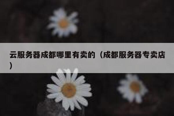 云服务器成都哪里有卖的（成都服务器专卖店） 第1张