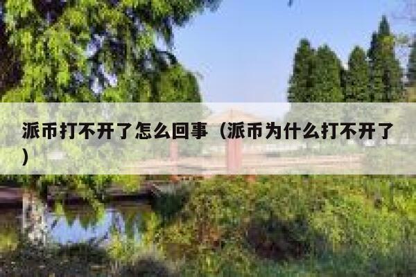 派币打不开了怎么回事（派币为什么打不开了） 第1张