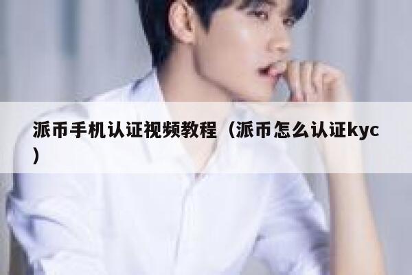 派币手机认证视频教程（派币怎么认证kyc） 第1张