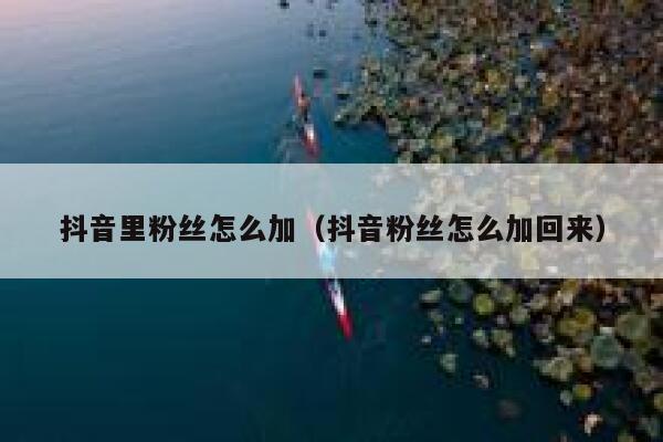 抖音里粉丝怎么加（抖音粉丝怎么加回来） 第1张
