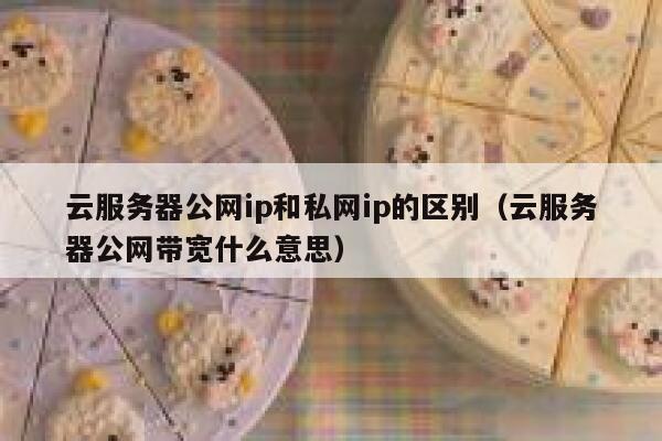云服务器公网ip和私网ip的区别（云服务器公网带宽什么意思） 第1张